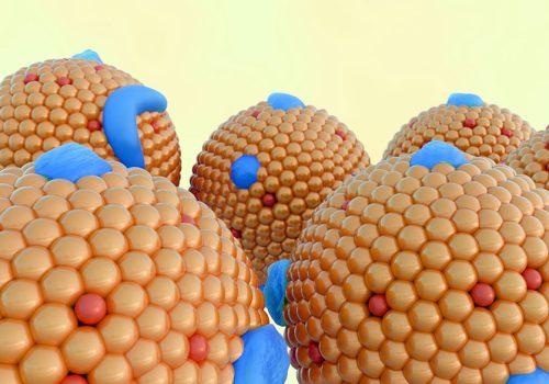 Chylomicron particles