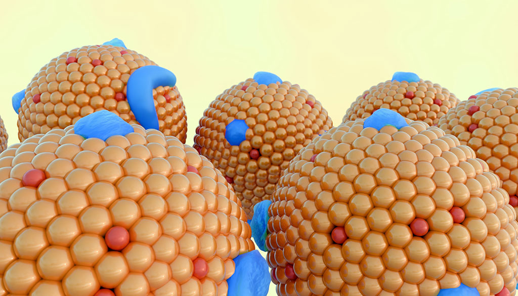 Chylomicron particles
