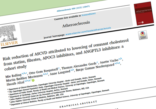 Risk reduction of ASCVD attributed to lowering of remnant cholesterol from statins, fibrates, APOC3 inhibitors, and ANGPTL3 inhibitors: a cohort study