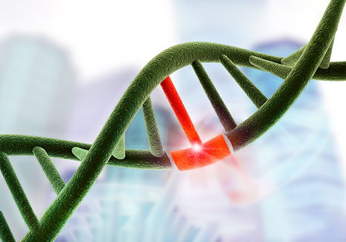 Gene variant